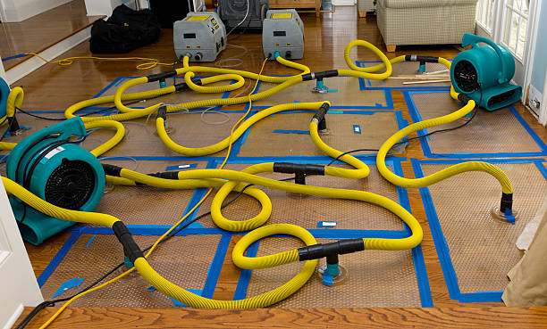 Professional Burst Pipe Water Damage technician working in Allentown, NJ