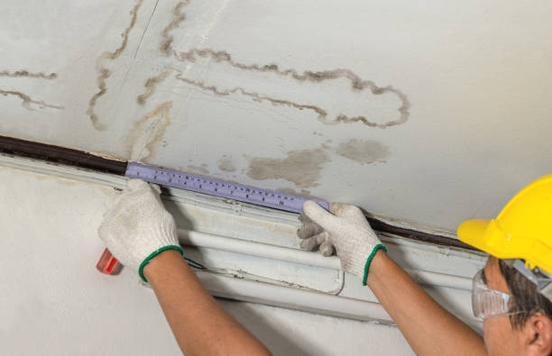 Affordable Water Damage Repair solutions in Allentown, NJ